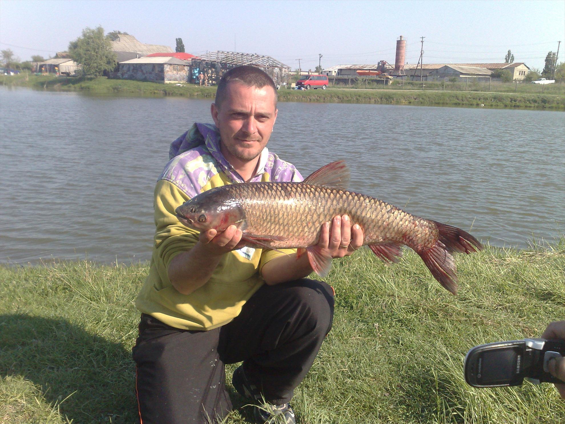 fishing carp - 26042009167.jpg